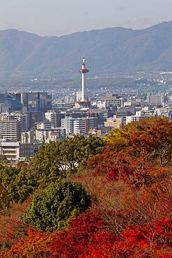 Kyoto. Kansai, Japan.