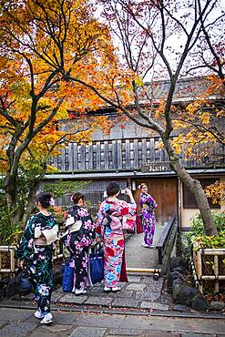 women dressed in kimono, in Shirakawa-minami-dori, Gion district, Kyoto. Kansai, Japan.