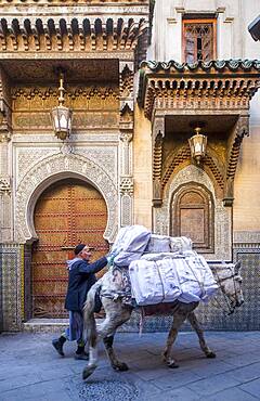 Facade of Zaouia Sidi Ahmed Tijani, medina, Fez.Morocco