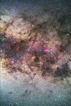 The tail of Scorpius, photographed with it high in the sky from Australia. The frame is oriented with the Milky Way running horizontally and the hook of the tail vertically.