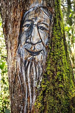 Mohan god, protector of the rivers and thief of women, myths and legends trail, Arví Park, Medellin, Colombia