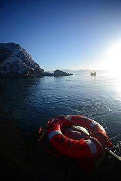 Lifesaver in water, view from boat, Baja California, Mexico