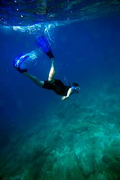 Snorkeling in Sea of Cortez, Baja California, Mexico