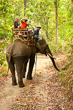 Visitors on elephant ride at National Thai Elephant Conservation Center; Lampang, Chiang Mai Province, Thailand.