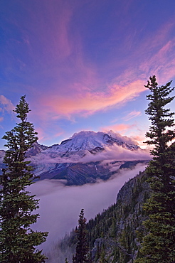 Mount Rainier from Glacier Overlook on Sunrise Rim Trail; Sunrise area, Mount Rainier National Park, Washington.