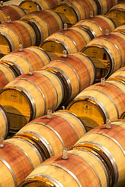 Le Petit Chai winery barrel room at Columbia Crest Vineyards, Patterson, Washington.