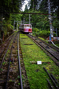 Cable car to Koyasan (Mount K?ya), huge temple settlement in Wakayama Prefecture to the south of Osaka.