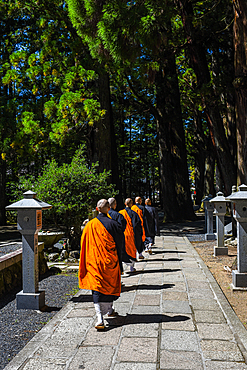 Okunoin, most popular cemetery in Japan, located in Koyasan or Mount Koya.