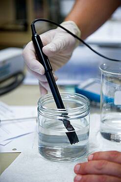 Hand wearing latex glove testing water with instrument in lab at UMCP Greenhouse