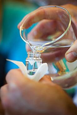 Hands pouring water from beaker into a test tube in lab at UMCP Greenhouse