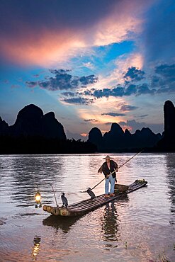 A traditional cormorant fisherman on a bamboo raft with his cormorants on the Li River, Xingping, China.