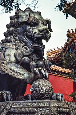 A bronze guardian lion statue in the Lama Temple complex, a Buddhist temple in Beijing, China.