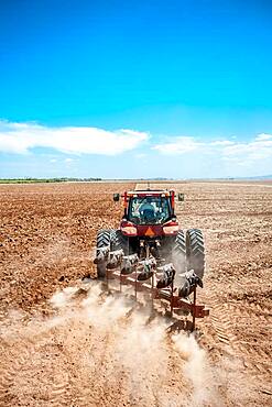 Tractor plowing in the field , Maricopa  Arizona