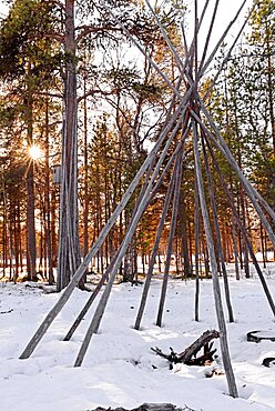 In the Reindeer farm of Tuula Airamo, a S?mi descendant, by Muttus Lake. Inari, Lapland, Finland