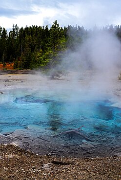 Norris Geyser Basin in Yellowstone National Park, USA