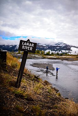 Fly fishing in Yellowstone National Park, United States