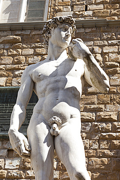 Replica of Michelangelo,??s statue of David outside Palazzo Vecchio, Piazza Della Signoria, Florence, Tuscany, Italy