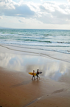 Surfers in Cote des Basques beach at sunset, Biarritz