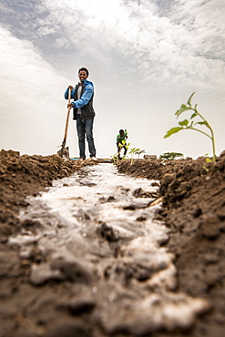 Meki Batu, Ethiopia - Young male worker irrigating the fields at the Fruit and Vegetable Growers Cooperative in Meki Batu.