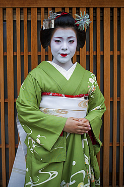 Fukukimi,'maiko' (geisha apprentice) from Ishihatsu okiya (house of geishas).Geisha's distric of Miyagawacho.Kyoto. Kansai, Japan.