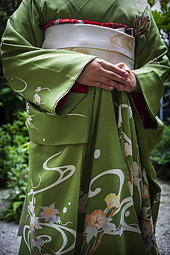 Detail of 'maiko' (geisha apprentice) from Ishihatsu okiya (house of geishas).Geisha's distric of Miyagawacho.Kyoto. Kansai, Japan.