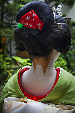 Detail of 'maiko' (geisha apprentice) from Ishihatsu okiya (house of geishas).Geisha's distric of Miyagawacho.Kyoto. Kansai, Japan.