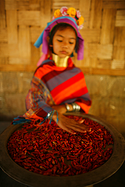 Life of a young girl of the Longneck tribe in Myanmar