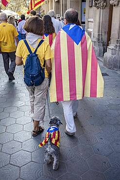 Political demonstration for the independence of Catalonia. Passeig de Gracia.October 19, 2014. Barcelona. Catalonia. Spain.