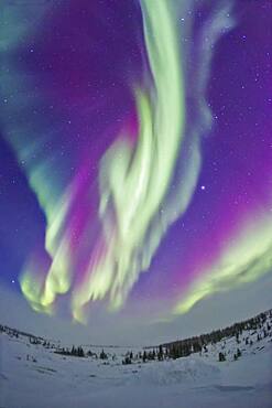 The Northern Lights on Feb 16, 2015, as seen from the Churchill Northern Studies Centre, in Churchill, Manitoba at 58° latitude, and under the auroral oval. The aurora appeared as skies cleared somewhat during a blizzard with high winds and blowing snow conditions. I shot these from the second floor deck of the Centre, out of the wind and off the ground. Jupiter is at right, the Big Dipper at left.