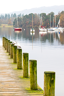 A quiet morning at Ambleside Pier, Windermere, Lake District National Park, UNESCO World Heritage Site, Cumbria, England, United Kingdom, Europe