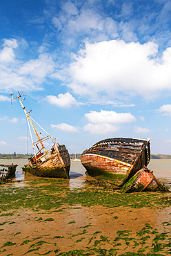 Boat graveyard in Pin Mill, Ipswich, Suffolk, England, United Kingdom, Europe