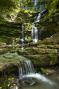 Scaleber Force Waterfall, near Settle, Yorkshire Dales National Park, Yorkshire, England, United Kingdom, Europe