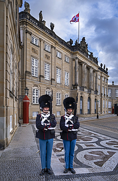 Royal Guards at The Amalienborg Palace, Copenhagen, Denmark, Europe