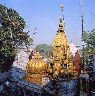 The Golden Temple of Vishwanath, holiest temple in Varanasi (formerly Benares), entry forbidden to non-Hindus, Uttar Pradesh, India, Asia