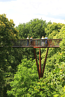 Xstrata Treetop Walkway, Royal Botanic Gardens, UNESCO World Heritage Site, Kew, London, England, United Kingdom, Europe