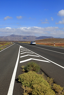 Chevron road lines on main highway through Malpais Grande National Park, Fuerteventura, Canary Islands, Spain, Atlantic, Europe