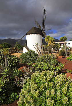 Windmill and garden at Centro de Artesania Molinos de Antigua, Fuerteventura, Canary Islands, Spain, Atlantic, Europe