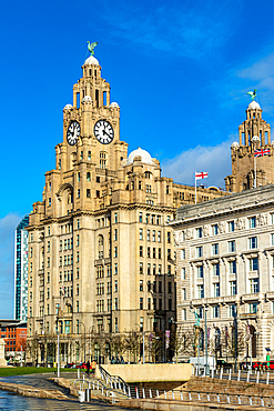 Historic Royal Liver Building with clock tower under blue sky with clouds, Liverpool, Merseyside, England, United Kingdom, Europe