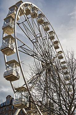 A Ferris wheel, 'The View,' with off-white gondolas is partially obscured by a bare tree against a cloudy sky. The wheel's metal structure is prominent. A building is visible in the bottom left.