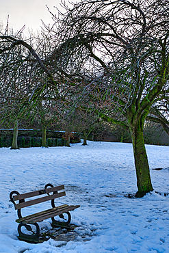 A snow-covered park scene features a wooden park bench beneath a leafless tree. Other bare trees are visible in the background, along with a low stone wall. The scene is lightly dusted with snow in Harrogate, UK.