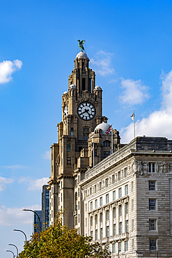 A tall, ornate clock tower building dominates the frame against a bright blue sky with scattered clouds. Several other buildings of varying architectural styles are visible, along with trees and streetlights in Liverpool, UK.