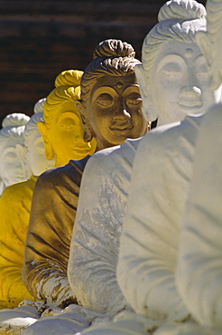 The 106 pieces of cemented Buddha statue at Wat Pangbua, Samui island Ko Samui), Gulf of Thailand, Thailand, Asia