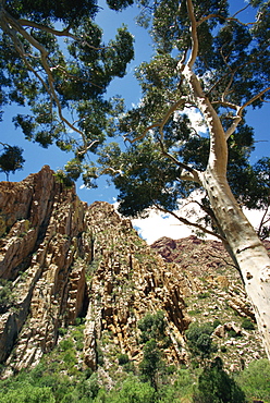 Swartberg Pass rock formation, Central Karoo, Western Cape, South Africa, Africa