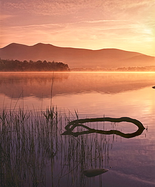 Mist rising on Derwent Water at dawn, Lake District National Park, Cumbria, England, United Kingdom, Europe