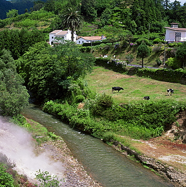 Hot springs, Furnas, island of Sao Miguel, Azores, Portugal, Europe