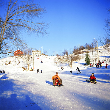 Sledging for fun, near Oslo, Norway, Scandinavia, Europe