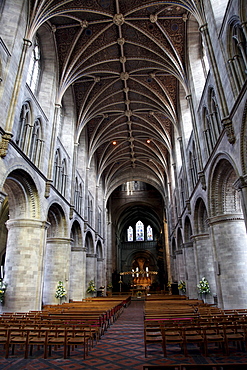 Nave, Hereford Cathedral, Hereford, Herefordshire, England, United Kingdom, Europe