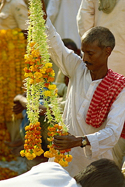 Flower market, northern India, India, Asia