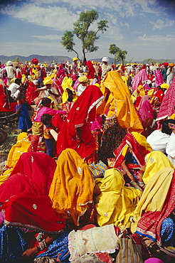 Crowds at the Pushkar Camel Fair, Pushkar, Rajasthan, India