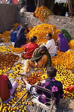 Flower market, Lado Sarai, Delhi, India, Asia